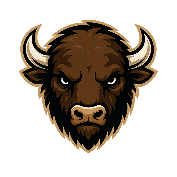 Omaha Bison